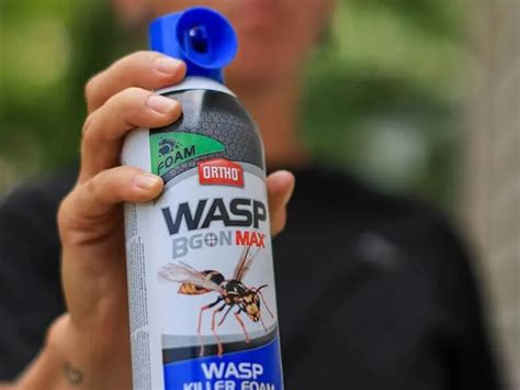 how does wasp spray work: A Deep Dive into Its Efficacy and Unconventional Connections to Ecosystem Management