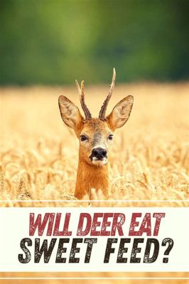 will deer eat sweet feed - And the Intricate Preferences of Herbivorous Grazers in Various Ecological Settings